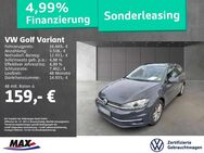 VW Golf Variant, 1.6 TDI Golf VII Comfortline, Jahr 2020 - Offenbach (Main)