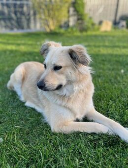 LunaLernwillig und mit viel Potential🩷 - München