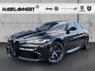 Alfa Romeo Giulia, 2.9 Quadrifoglio, Jahr 2024 - Hasbergen