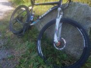 Trek Bike - Obernzell