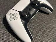 PS5 Controller - Sangerhausen Grillenberg