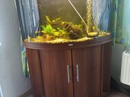 Komplettes Aquarium 120 Liter - Borkow