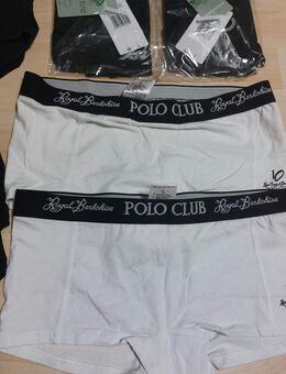 Damenslips, Gr. M, Polo Club, puma, neuwertig, abzugeben - Mallersdorf-Pfaffenberg