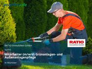 Mitarbeiter (m/w/d) Grünanlagen- und Außenanlagenpflege - Münster