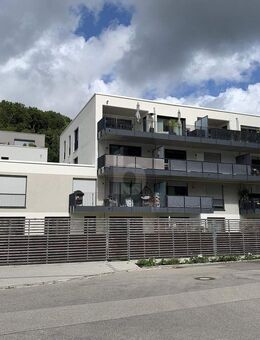 NEUWERTIG - MODERN - MIT GARTENANTEIL - Zell (Wiesental)