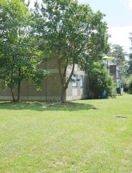 6-Zimmer-Wohnung in Horb am Neckar zu vermieten - Horb (Neckar)