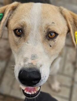 JORDI ~ liebt den Menschen sehr - Duisburg
