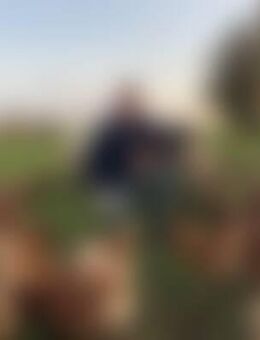 Hob*** - Westerkappeln