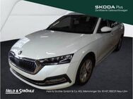 Skoda Octavia, 2.0 TSI Combi Style, Jahr 2024 - Neu Ulm