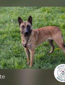 Dete: Prinzessin im falschen Schloss - Kirchzell