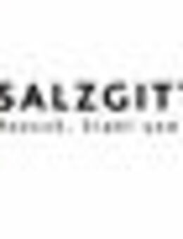 Elektromaschinenmonteur / Elektromaschinenbauer (w/m/d) - Salzgitter