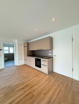 Neuwertige 3-Zimmer-Wohnung im 1. Obergeschoss in Hilzingen - Hilzingen