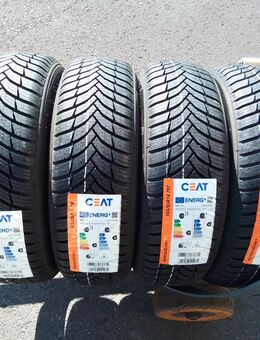 4 Neu Allwetterreifen Ganzjahresreifen G 165 65 14 79 T Ceat 250,- Euro incl. montage - Sprendlingen