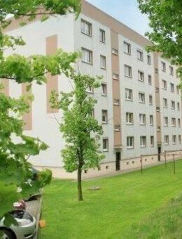 Bernstadt - 8% Rendite für 3 Wohnungen - Bernstadt (Eigen)