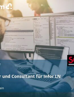 Entwickler und Consultant für Infor LN (m/w/d) - Lohr (Main)