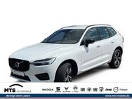 Volvo XC40, Momentum, Jahr 2021 - Neu Anspach