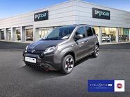 Fiat Panda, 1.0 Mild Hybrid Base (Euro 6d), Jahr 2024 - Hamburg