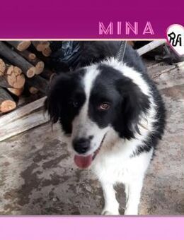 💜MINA - LIEBT EINFACH JEDEN!💜 - Alfeld (Leine)