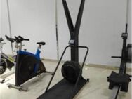 Skierg Concept 2 Kopie Cardio Ergometer - Lenzburg