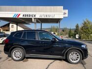 BMW X3 30e G01 "ADV."/LC"PROF"/PANO/AHK/CAM - Willmering