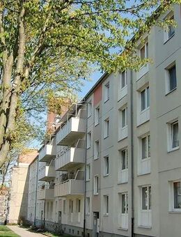 Kleine 3-Zimmer-Wohnung zwischen See und City - Prenzlau