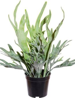 Kunstranke Geweihfarn Farn, Creativ green, Höhe 40 cm