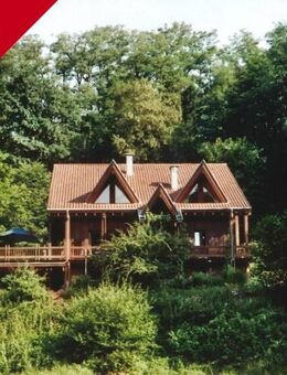 Alles außer gewöhnlich! Villa im Chaletstil mitten im Pfälzer Wald - Otterberg