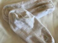 Durchgeschwitzte Socken - Bad Salzuflen