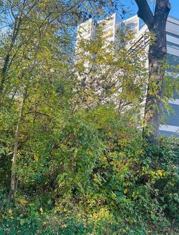 Über den Dächern von Bad Homburg ETW 3 Zimmer - Bad Homburg (Höhe)