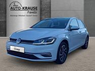 VW Golf, 1.6 TDI VII Join, Jahr 2019 - Billerbeck