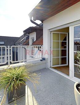 Ihr neues Zuhause: Großzügige Wohnung mit Kamin, Terrasse & Balkon einzugsbereit zu sofort - Ludwigshafen (Rhein)