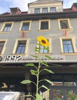 Saniertes Renditeobjekt mit hohem Wertsteigerungspotential in Bestlage von Jena - Gastronomie, Studenten-WG's und DG-Wohnung mit großer Terrasse - Jena