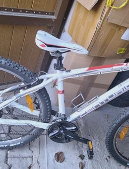 Mountainbike - Stuttgart