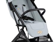 Hauck Kinder-Buggy Travel N Care, Simba grey, leicht, bis 22 kg belastbar, inkl. Schulter-Tragegrut