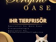 Serafino Oase Ihr Tierfrisör - Meeder