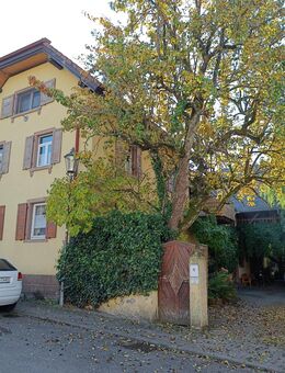 Ehemaliger Winzerhof mit Nebengebäuden - Endingen (Kaiserstuhl)
