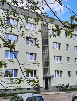 2-Zimmer-Wohnung in Kemberg, 2.OG mit Balkon - Kemberg