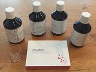 O M E G A 3  Balance Öl Mini-Paket 229€  (4 Flaschen 300ml + Test) - 46% günstiger als Einzelkauf (auch ohne Test möglich) - München