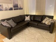 Leder Couch Ewald Schillig, 5-Sitzer Eckcouch Concept plus, braun, 2,3m x 2,3m - Köln