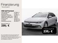 VW Golf Variant, Golf VIII Life eTSI ||, Jahr 2022 - Hofheim (Unterfranken)
