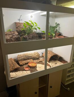Zwei neuwertige Fortex Terrarien , weiß , inklusive Heatpanel und Beleuchtung - Düren