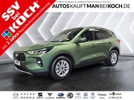 Ford Kuga, 1.5 EcoBoost Titanium Winterp, Jahr 2024 - Schorfheide