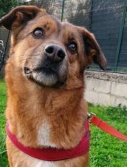 Lulu - Rieden (Rheinland-Pfalz)