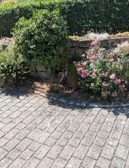 Gartenhilfe - Martinsheim