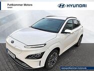 Hyundai Kona Elektro, Trend, Jahr 2023 - Rellingen