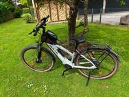 E-Bike Bulls Cross EVO 750, 303 km , wie neu - Lügde (Stadt der Osterräder) Zentrum