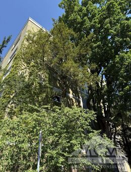 Rarität direkt am Bethmannpark mit eigenem Stellplatz - Frankfurt (Main)