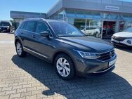 VW Tiguan 1.5 TSI DSG Move Navi LED AHK Kamera 18 - Brandenburg (Havel)