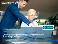 (Junior) Manager (m/w/d) - Transformation & Strategic Projects - Liederbach (Taunus)