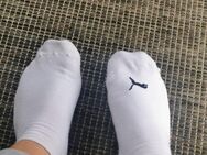 Getragene Socken ❤️😁 - Taunusstein